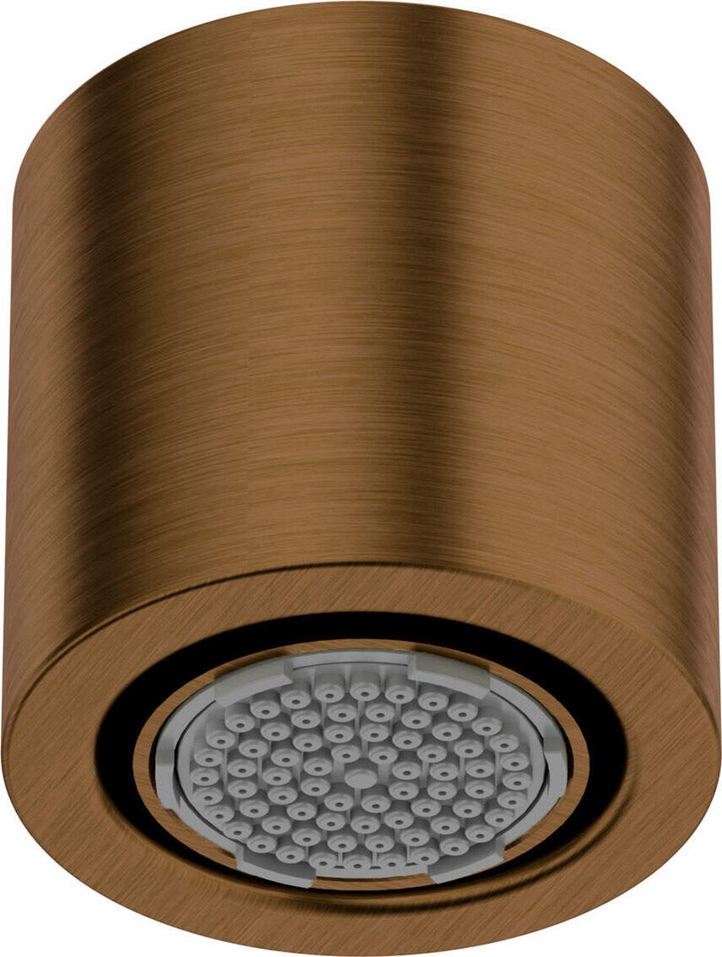 Deante 1-function shower head | NQS_C30K