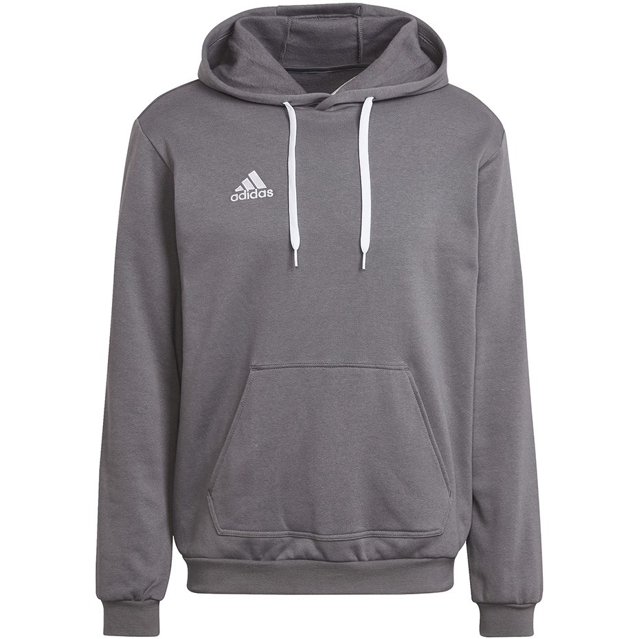 Adidas Entrada 22 Hoody grey sweatshirt