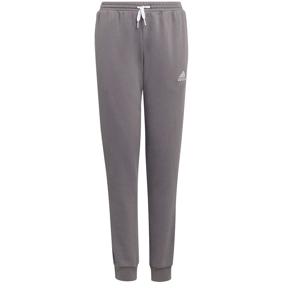 Adidas Entrada 22 Sweat Pants grey