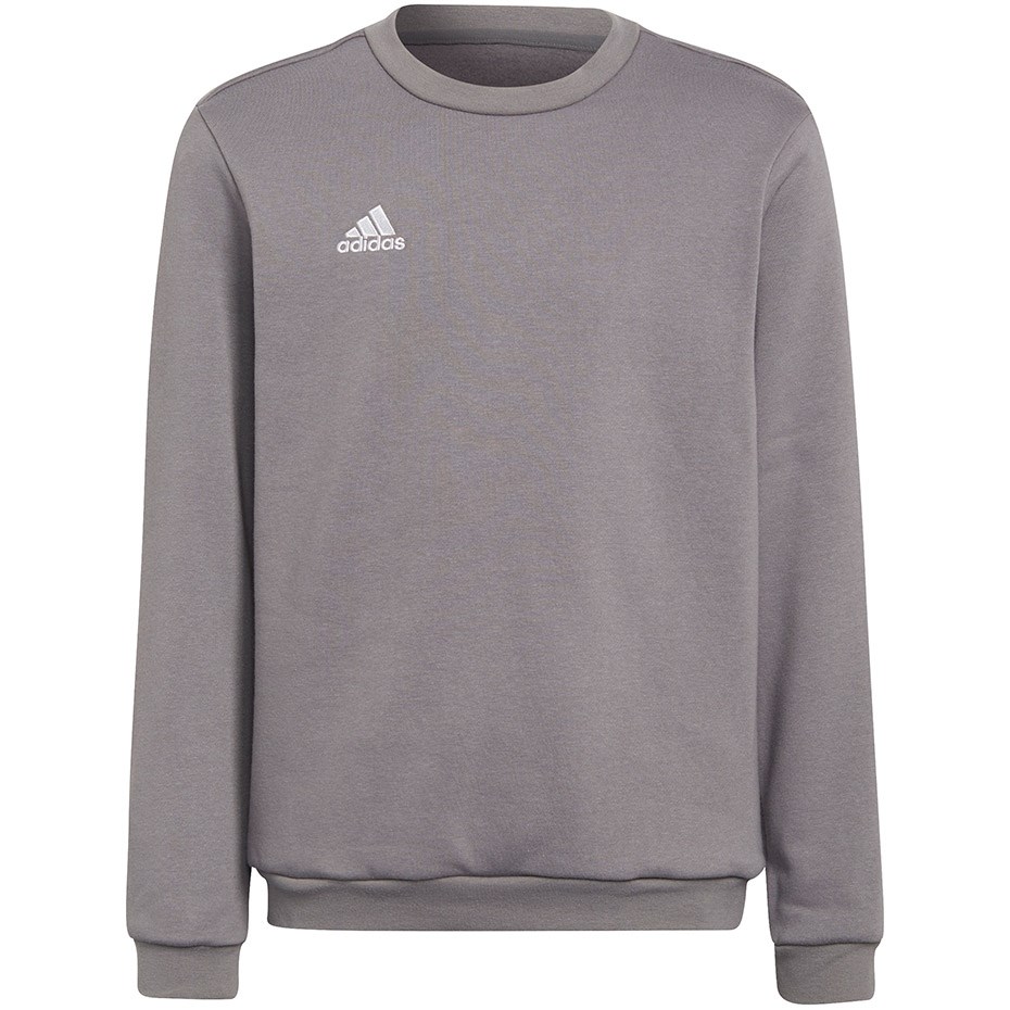Adidas Entrada 22 Sweat Top grey
