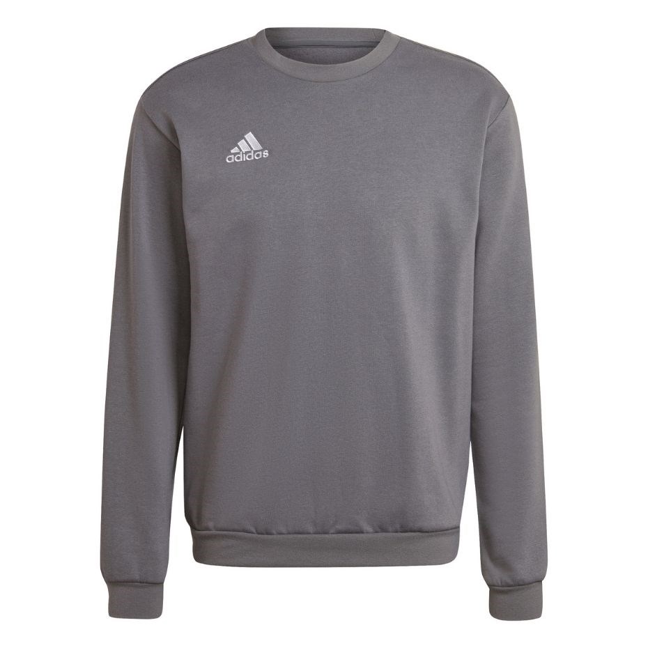 Adidas Entrada 22 Sweat Top grey