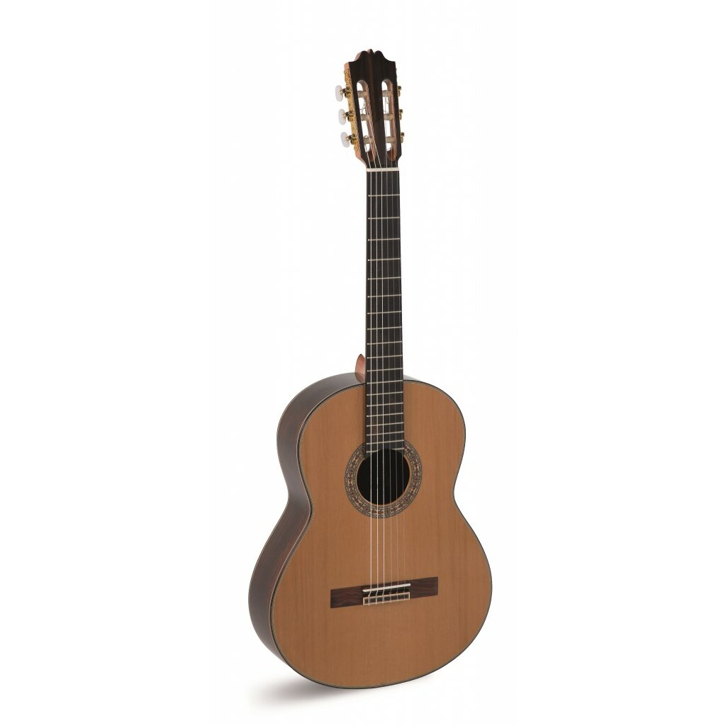 No name Alvaro Guitars L-290 -