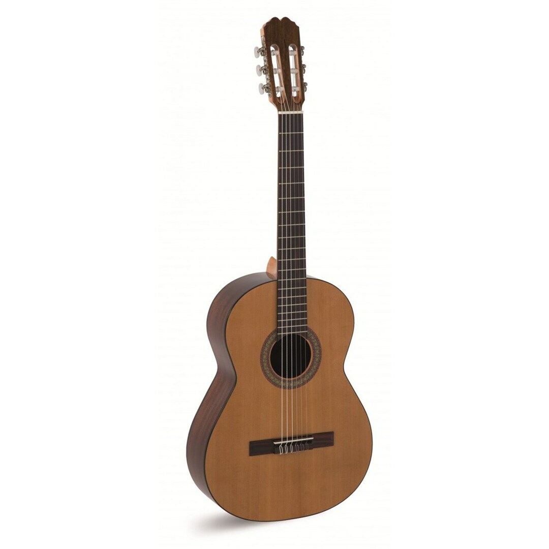 No name Alvaro Guitars No.39