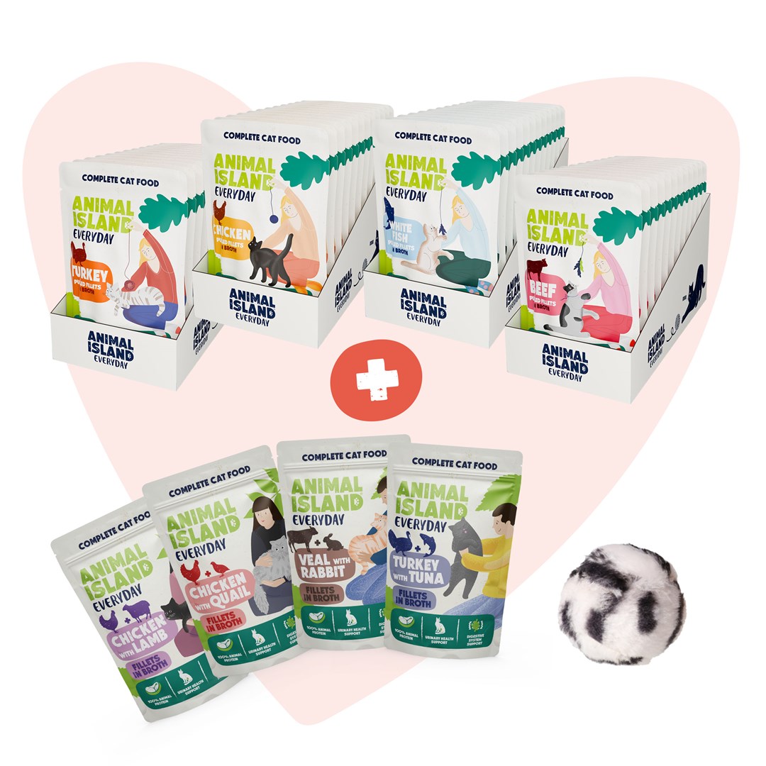 ANIMAL ISLAND  Love Box Fillets in