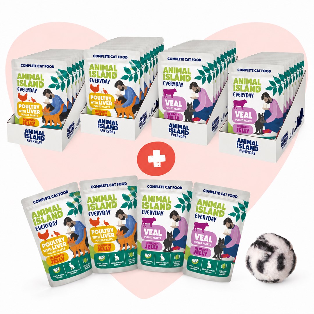ANIMAL ISLAND  Love Box Fillets in