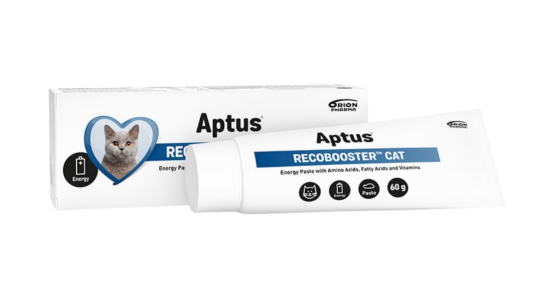 Aptus  Recobooster Nutrition and appetite -