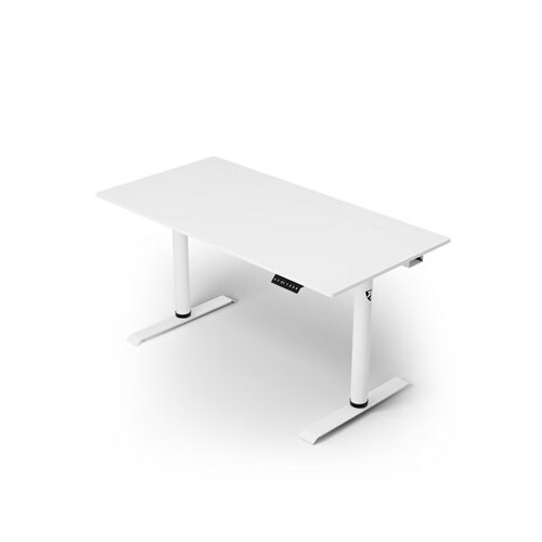 Arozzi Electric Standing Desk | Arena