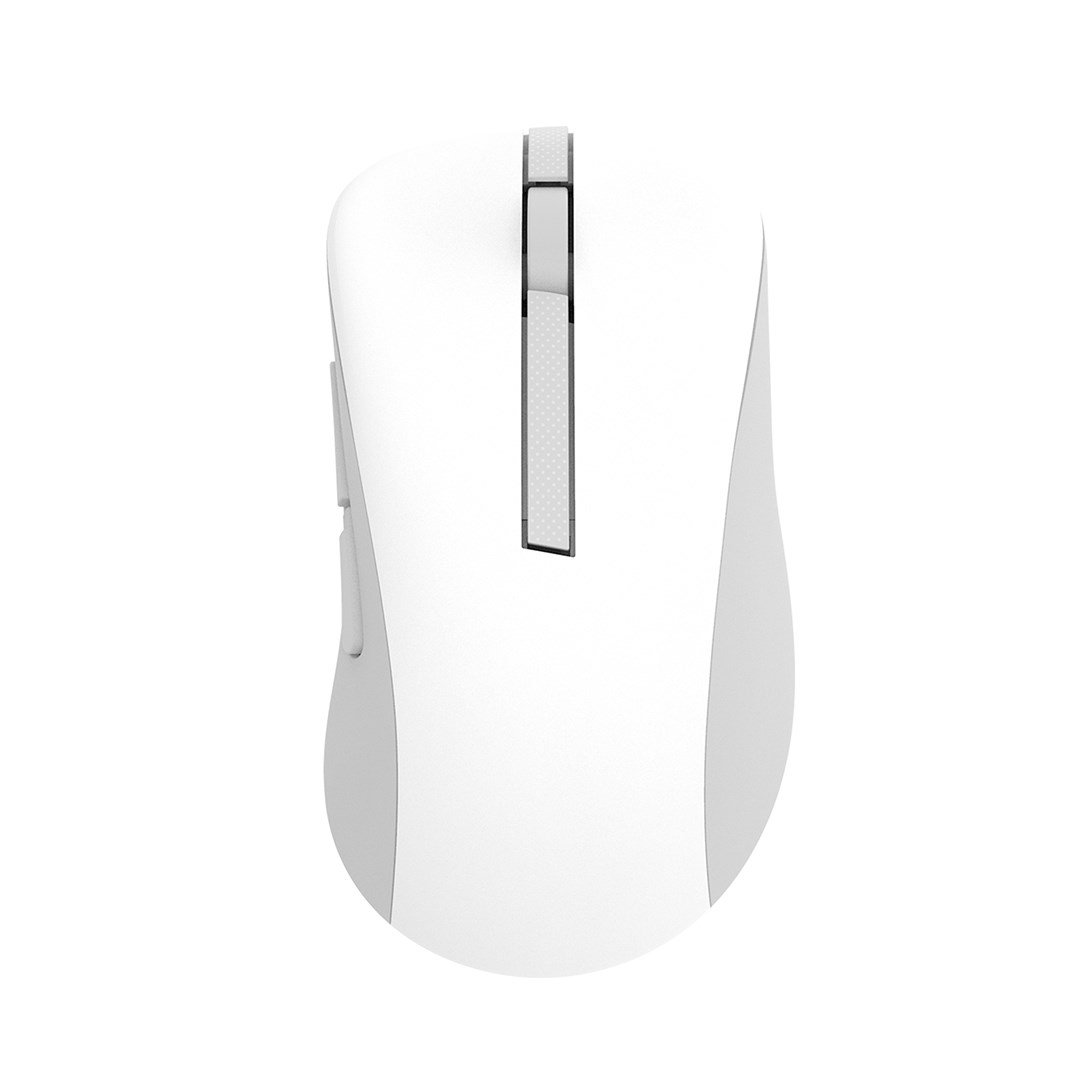 ASUS Wireless MD102 mouse Universal Right-hand