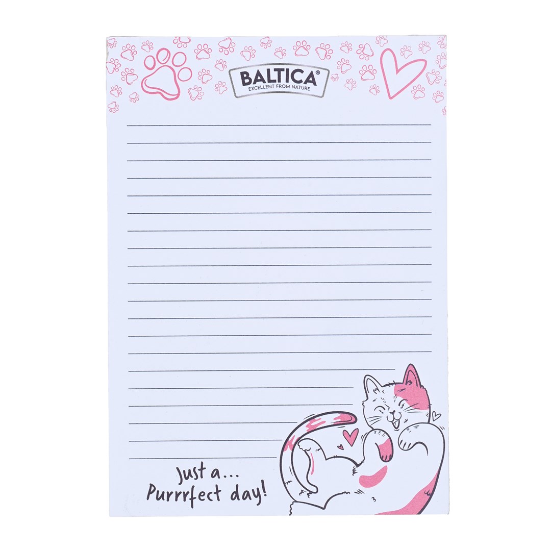 BALTICA  Notebook | DLSBA5ZWI0022 | DLSBA5ZWI0022