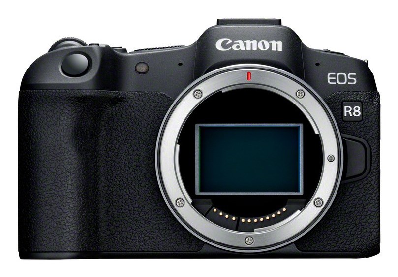 Canon  EOS R8 + RF 24-50mm