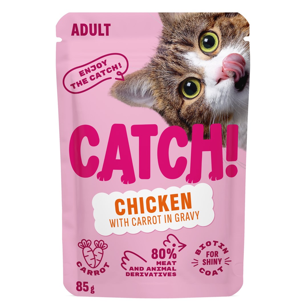 CATCH  Chicken and carrot in gravy