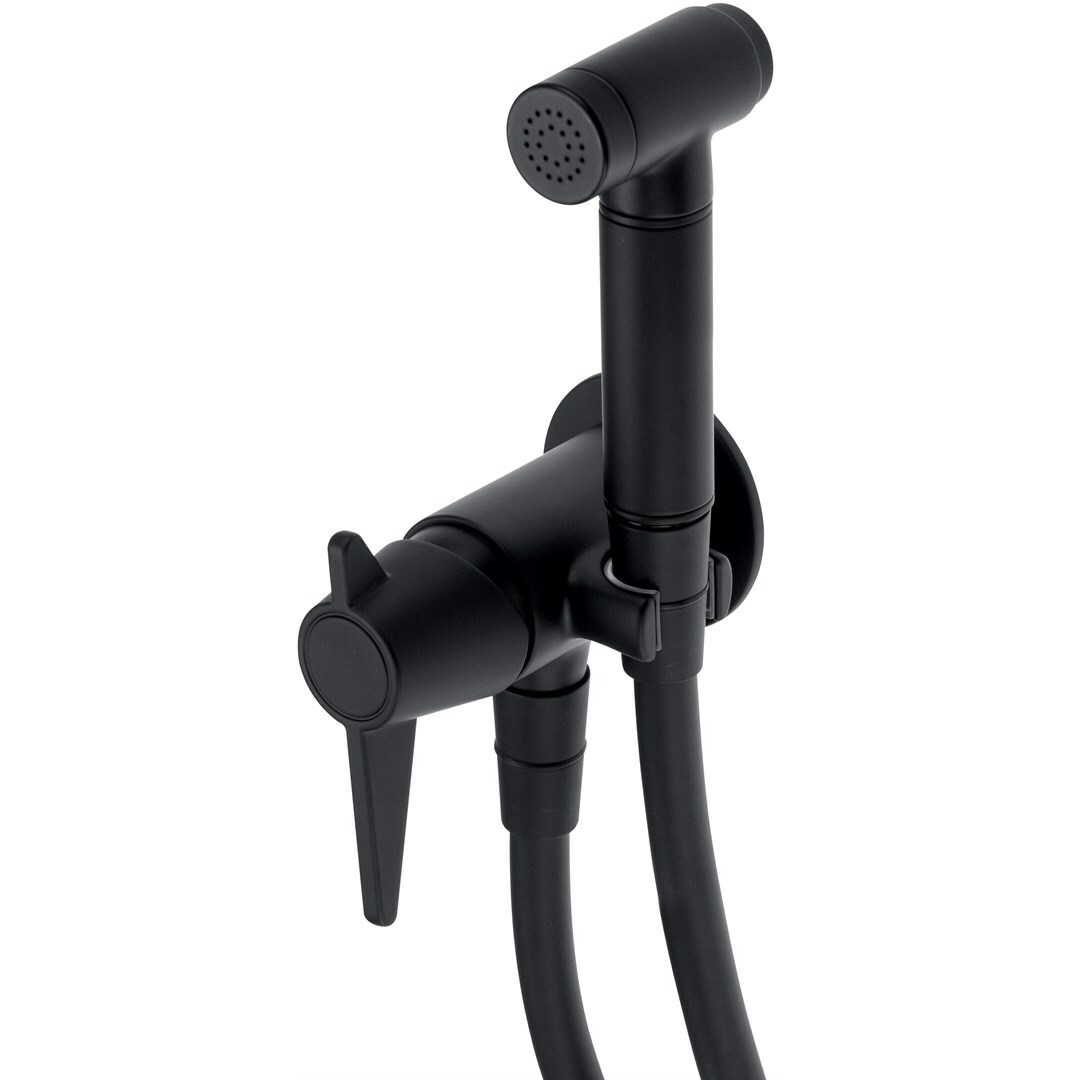 Deante Concealed bidet tap with Bidetta
