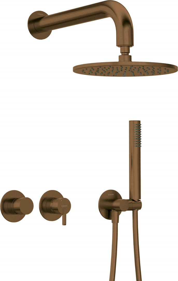 Deante Concealed shower set with head