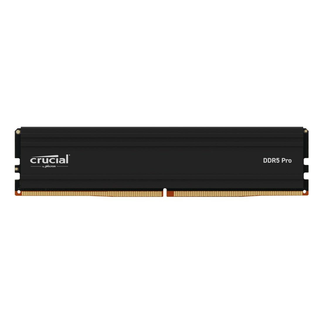 CRUCIAL Memory DDR5 Pro 32GB/ 5600(1*32GB)