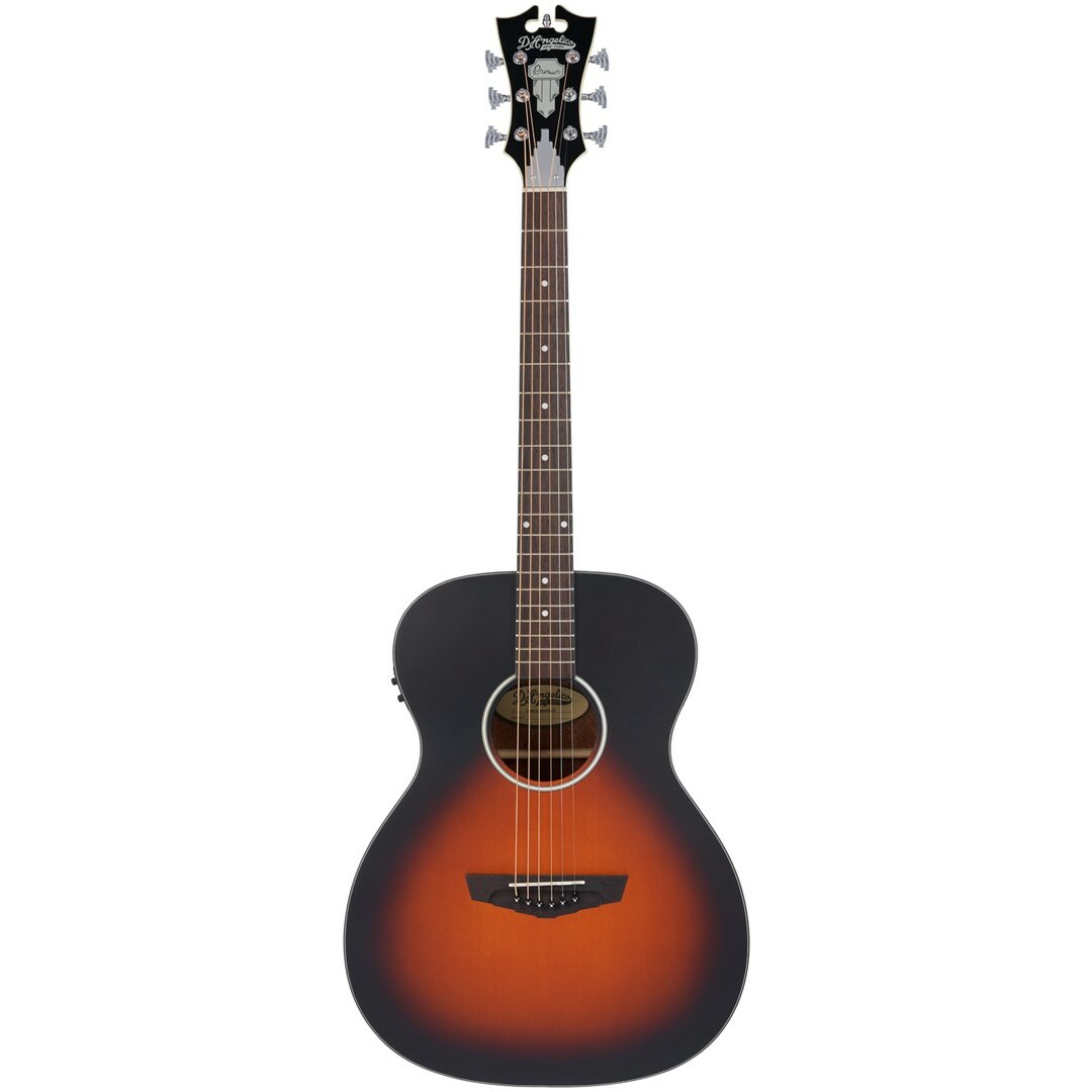 No name D`Angelico Premier Tammany LS
