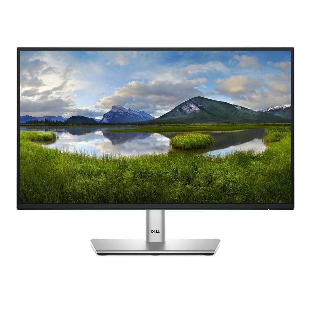 Dell  P Series P2225H computer monitor