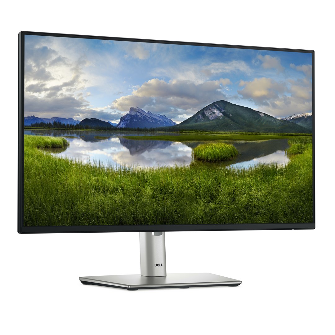Dell P Series P2425H computer monitor