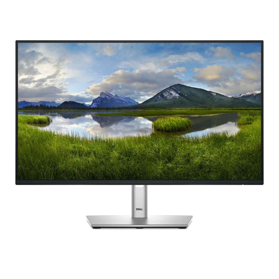 Dell  P Series P2425HE computer monitor