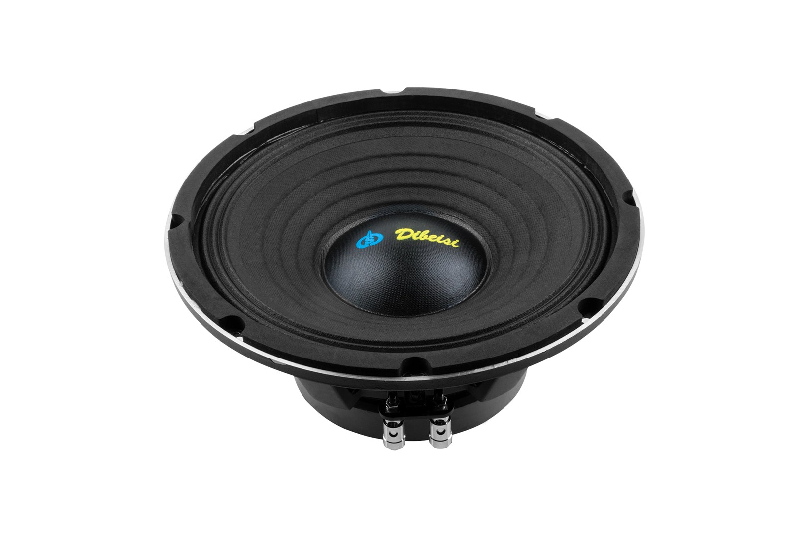 No name Dibeisi 10-inch Speaker DBS-PS1005-8