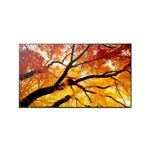 Sharp  Display MultiSync M322 32-inch 24/7