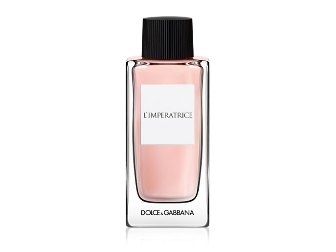 No name Dolce & Gabbana Perfumy