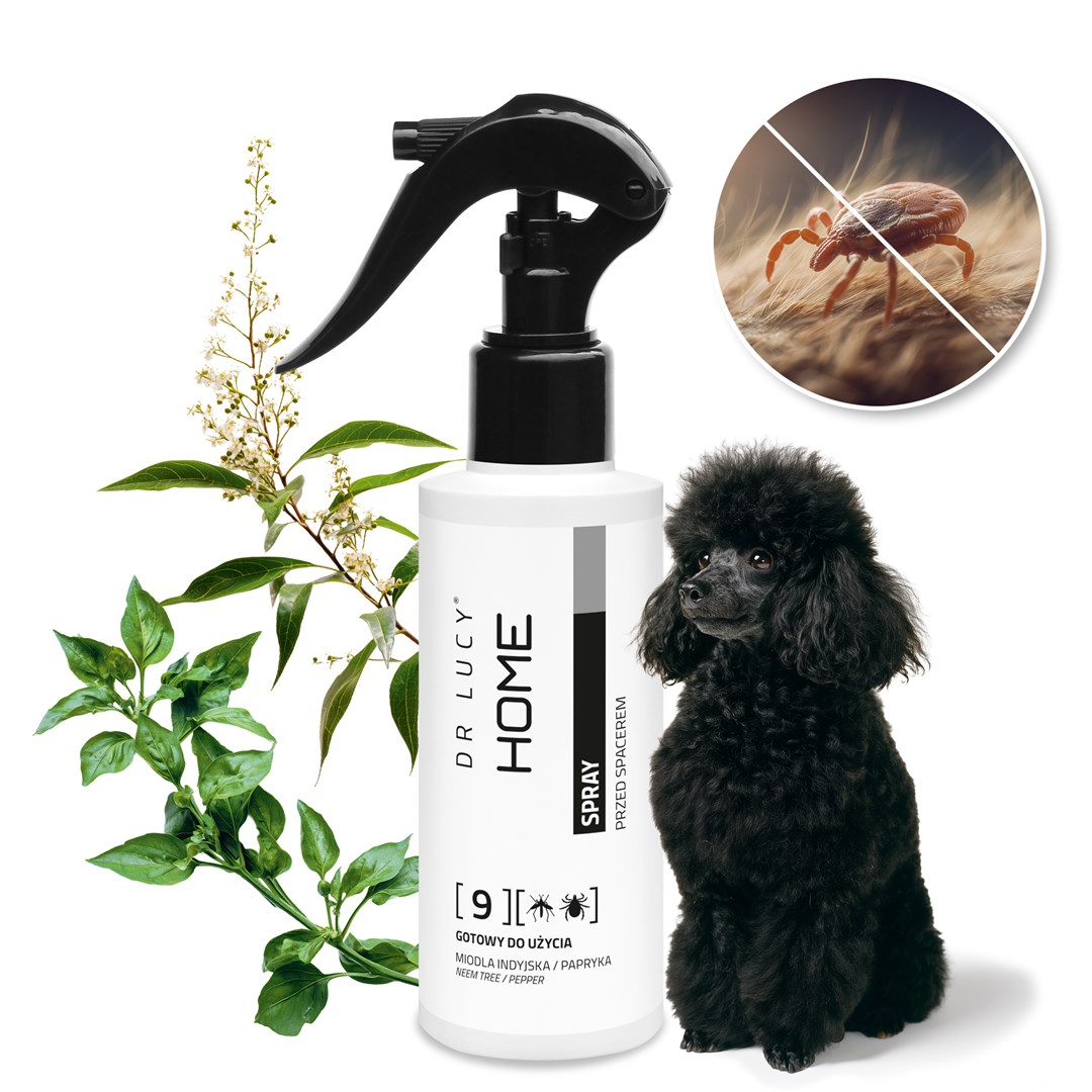 Dr Lucy  Home 9 - Flea
