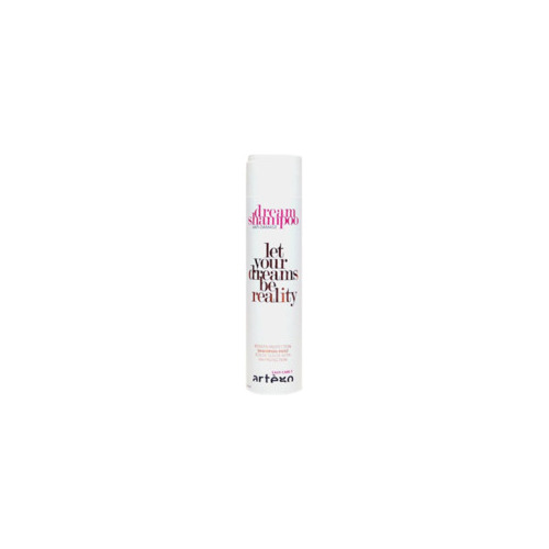 Artègo Easy Care T Dream Shampoo