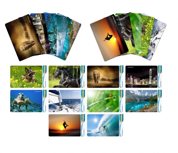 Esperanza  EA133 mouse pad Multicolor |