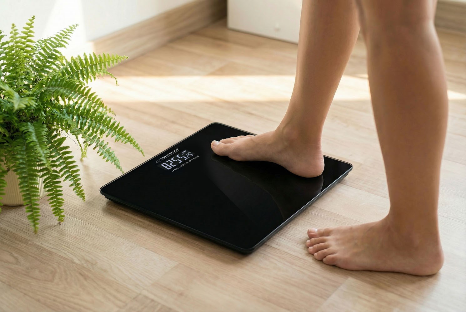 Esperanza  BATHROOM SCALE AEROBIC BLACK EBS002K