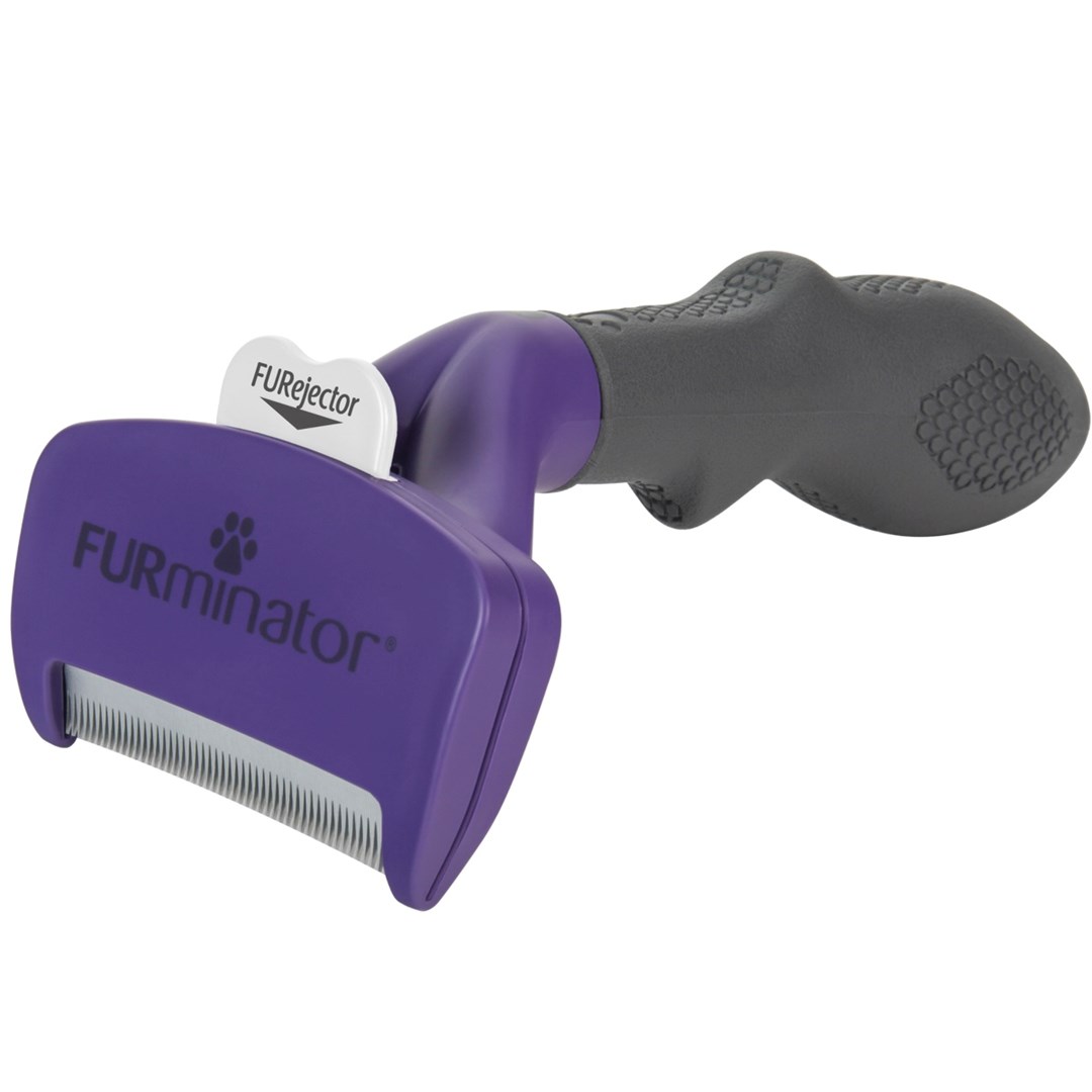 FURminator  -  for short-haired cats -