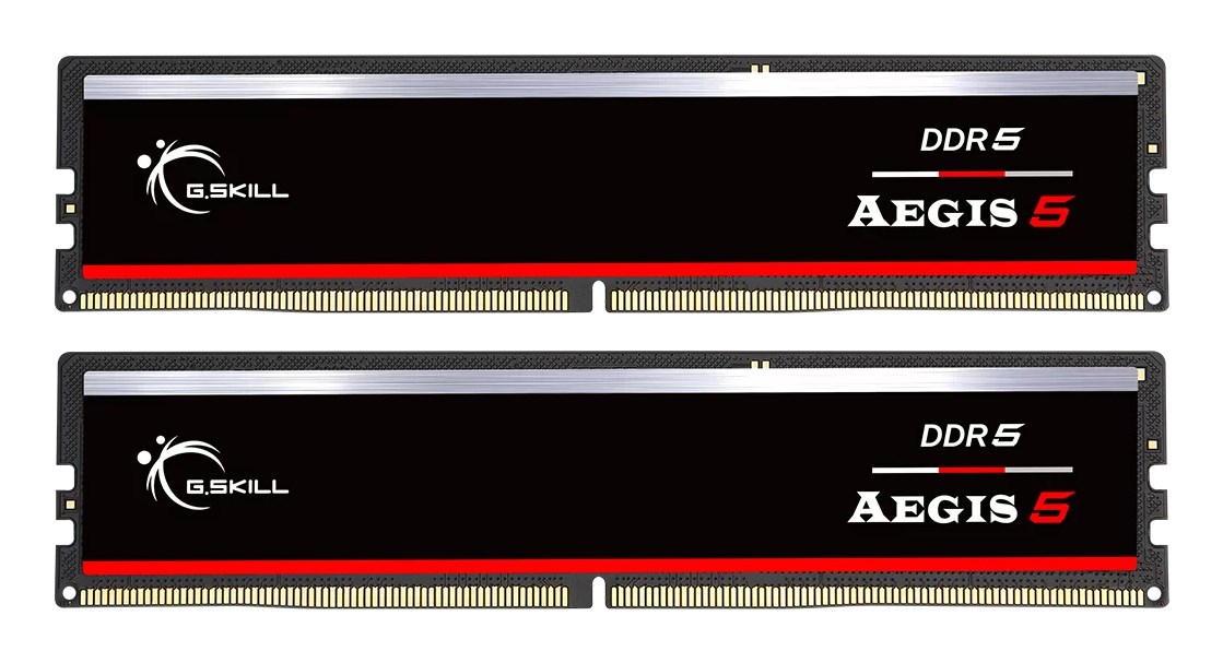 G.SKILL  F5-5200J4040A32GX2-IS memory module 64