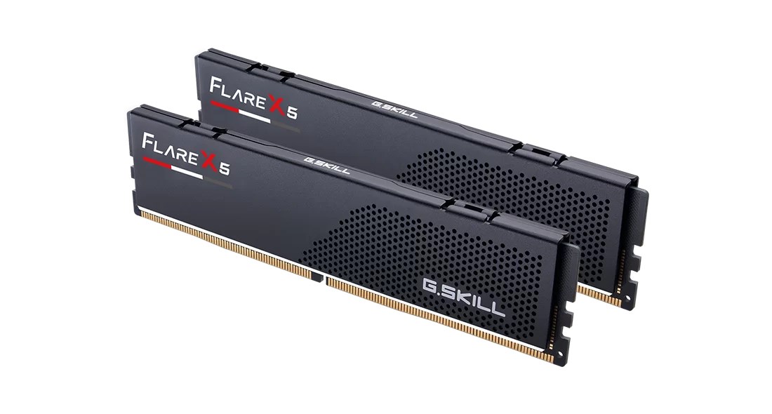 G.SKILL Flare X5 AMD DD