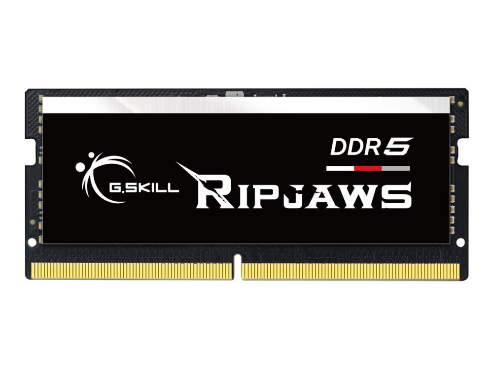 G.SKILL  Ripjaws F5-4800S3434A16GX1-RS memory module