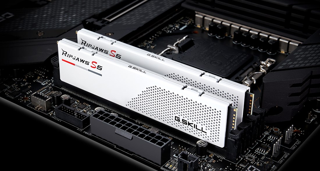 G.SKILL  Ripjaws S5 memory module