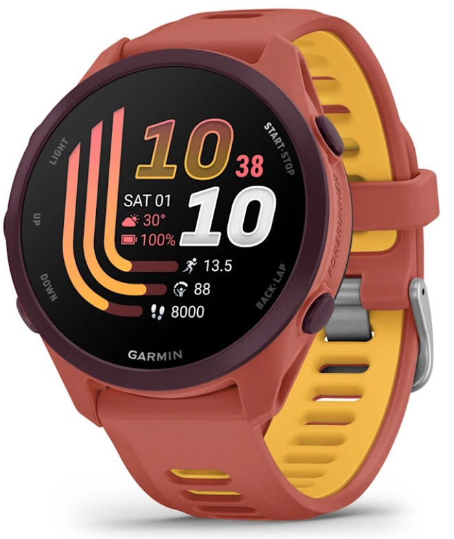 Garmin  Forerunner 170 Music 3.05