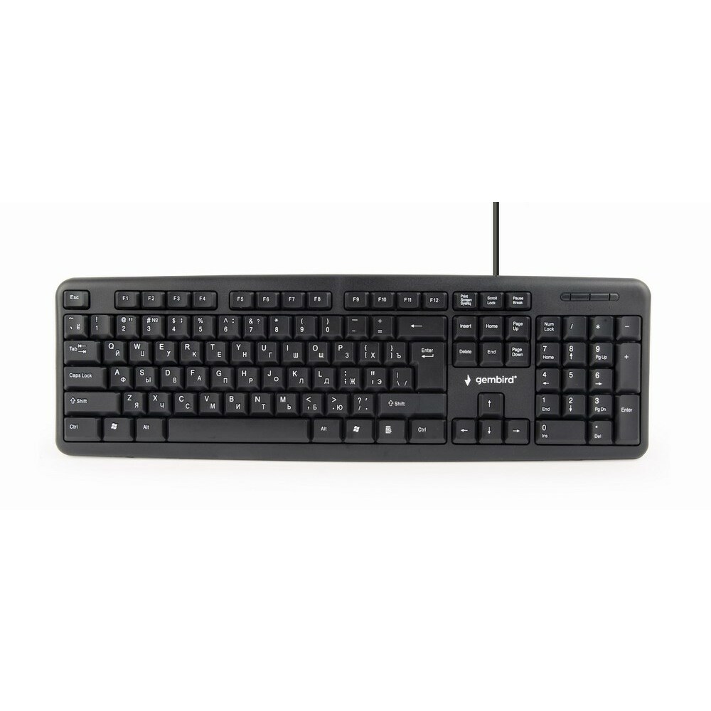Gembird  Standard keyboard USB KB-U-103-RU (Russian)