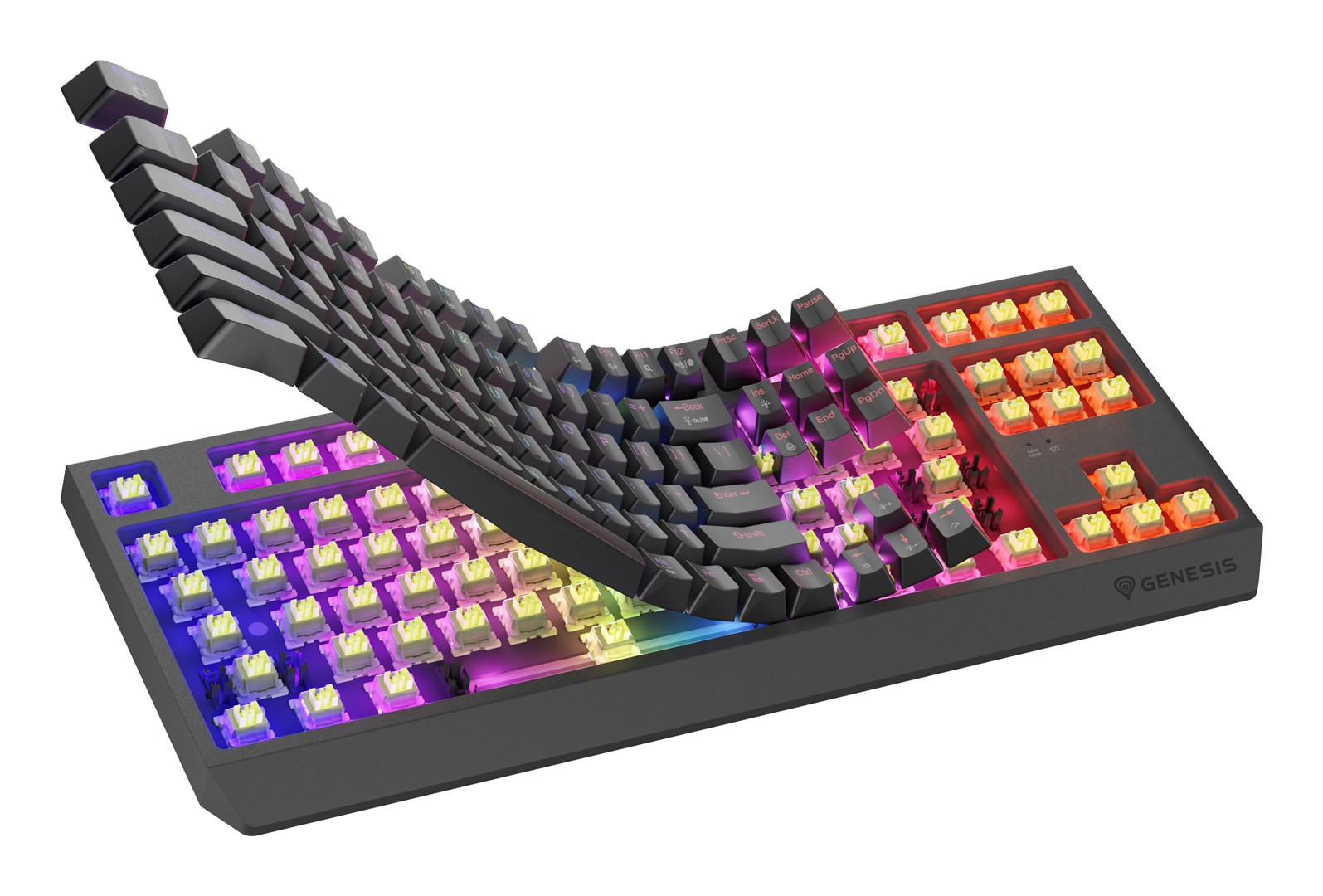 GENESIS  Thor 230 TKL Wireless Outemu