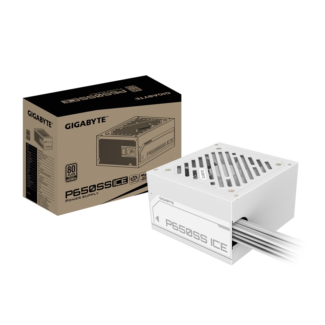 GIGABYTE P650SS ICE Power Supply -