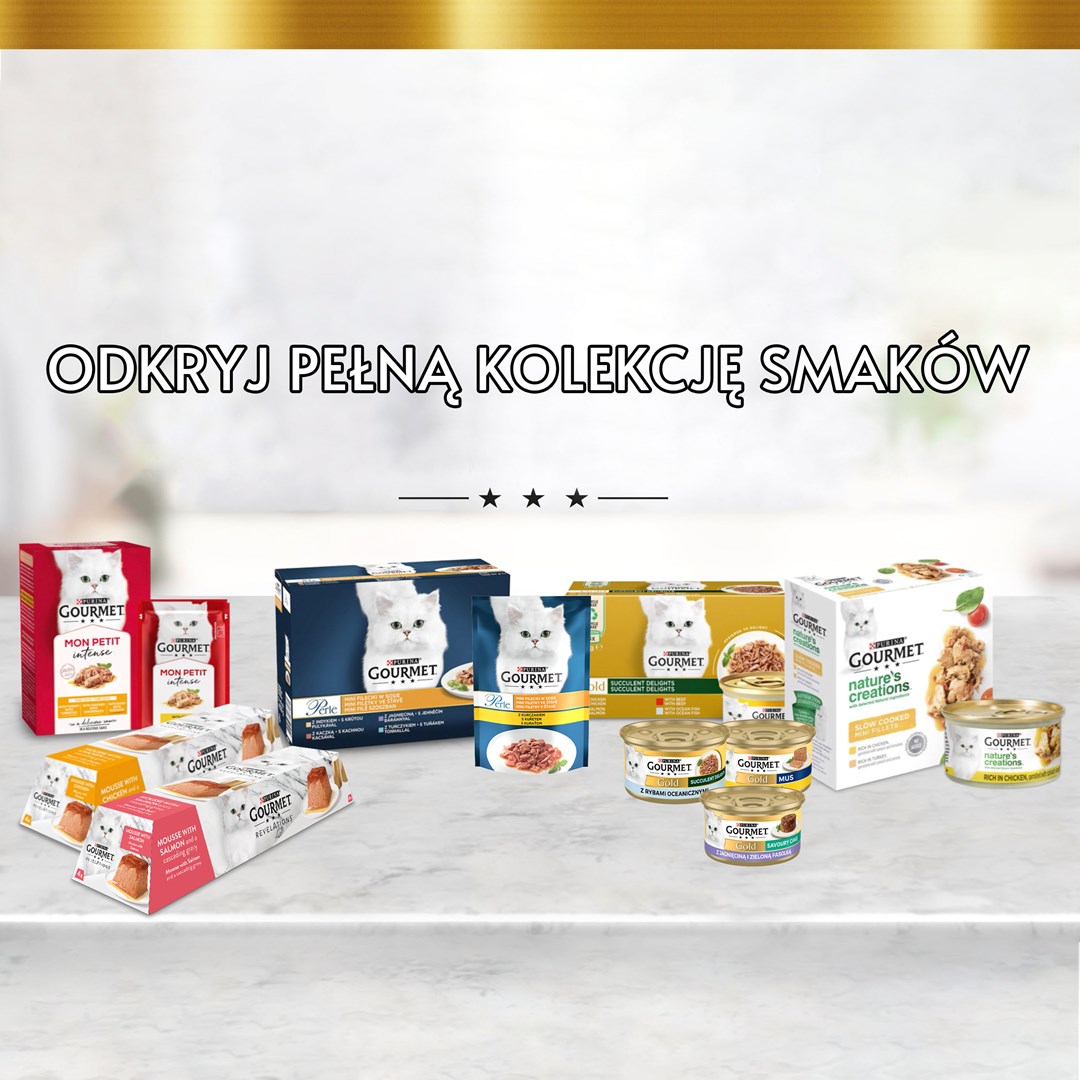 PURINA NESTLE GOURMET GOLD - Savoury