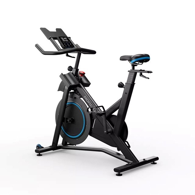 Horizon Fitness  7.0 IC Spinning