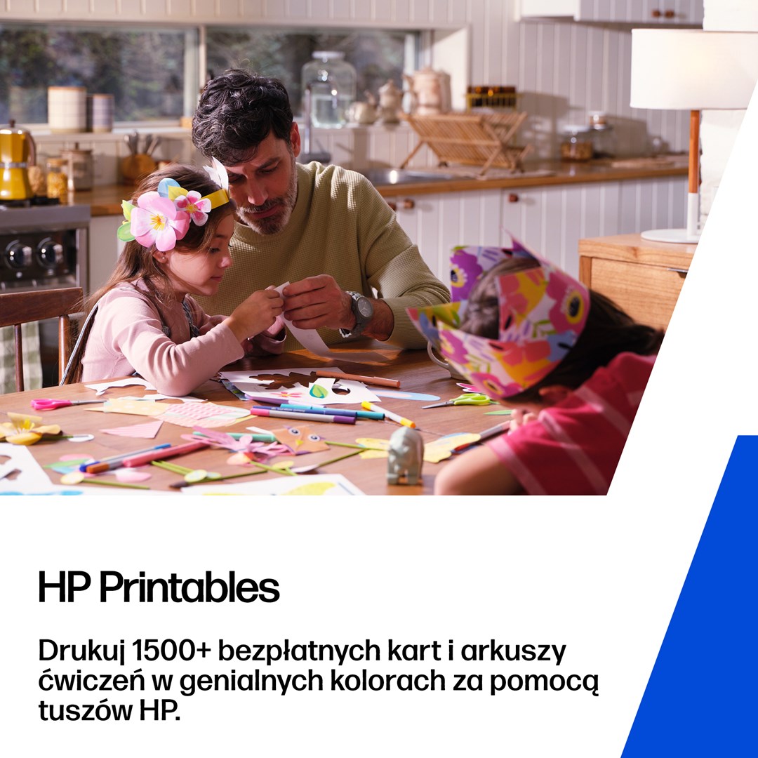 Hewlett-Packard HP 302XL/304XL Black Original Ink