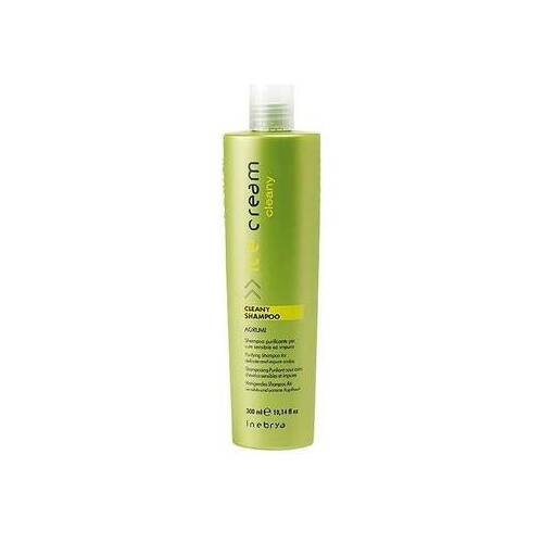 Inebrya Ice Cream (Cleany Shampoo) 300