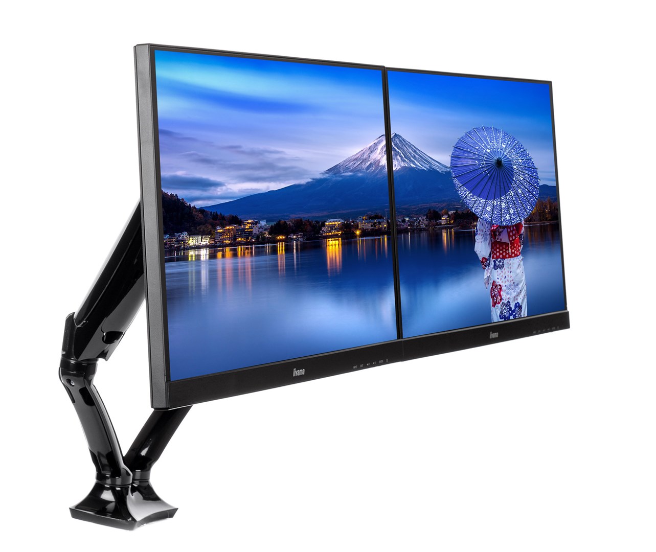 IIYAMA DS3002C-B1 monitor mount / stand