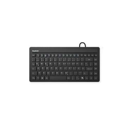 RAIDSONIC KeySonic KSK-3230IN (DE) keyboard Universal