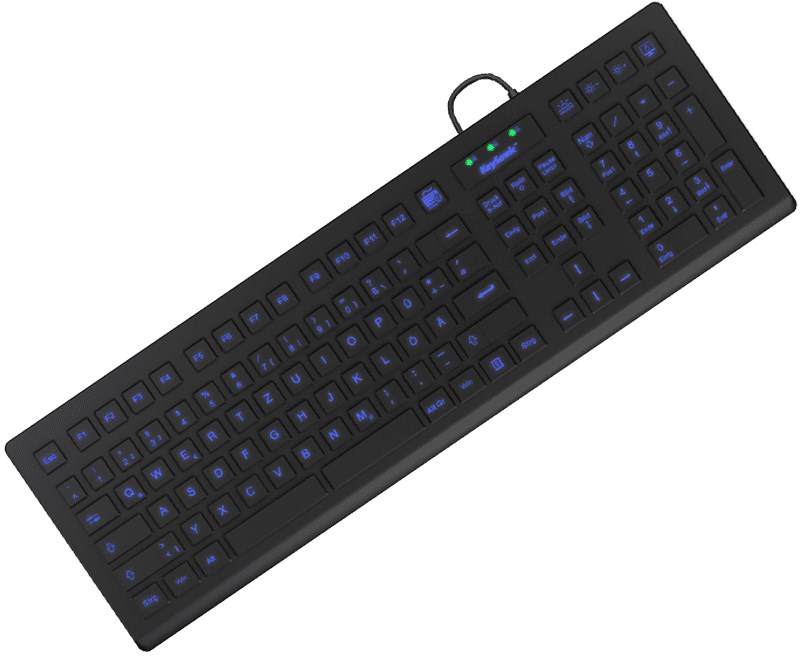 RAIDSONIC KeySonic KSK-8031INEL-B (DE) keyboard Industrial