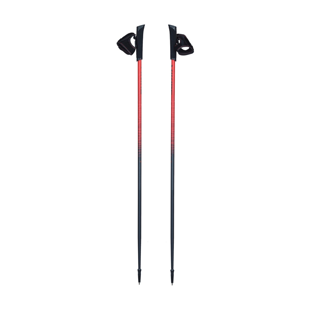 Viking Kijki Nordic Walking  Pro-Trainer 120