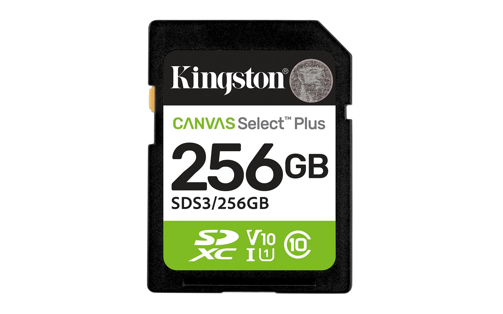 KINGSTON Memory card SD 256GB Canvas