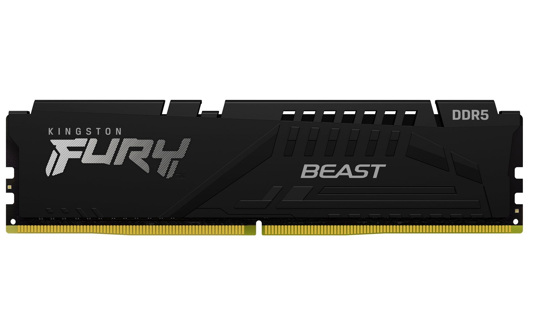 KINGSTON Memory DDR5 Fury Beast 16GB(2*