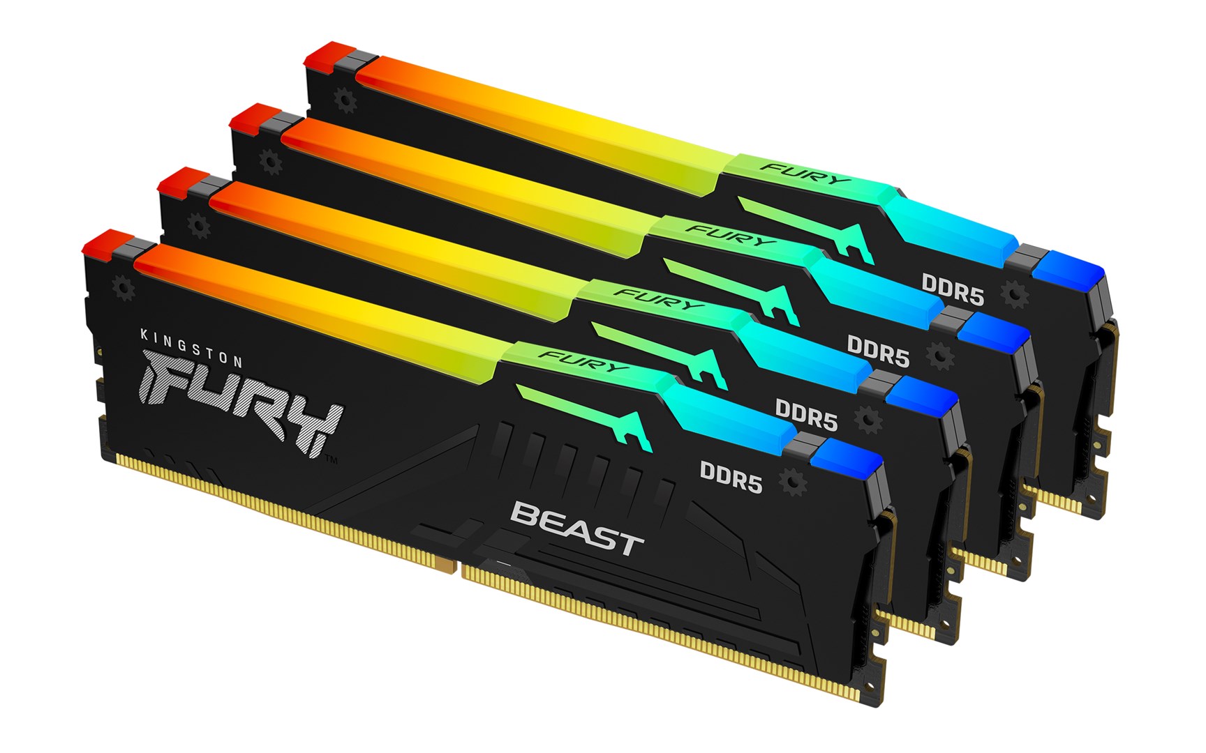 KINGSTON  Technology FURY Beast 64GB 6000MT/s