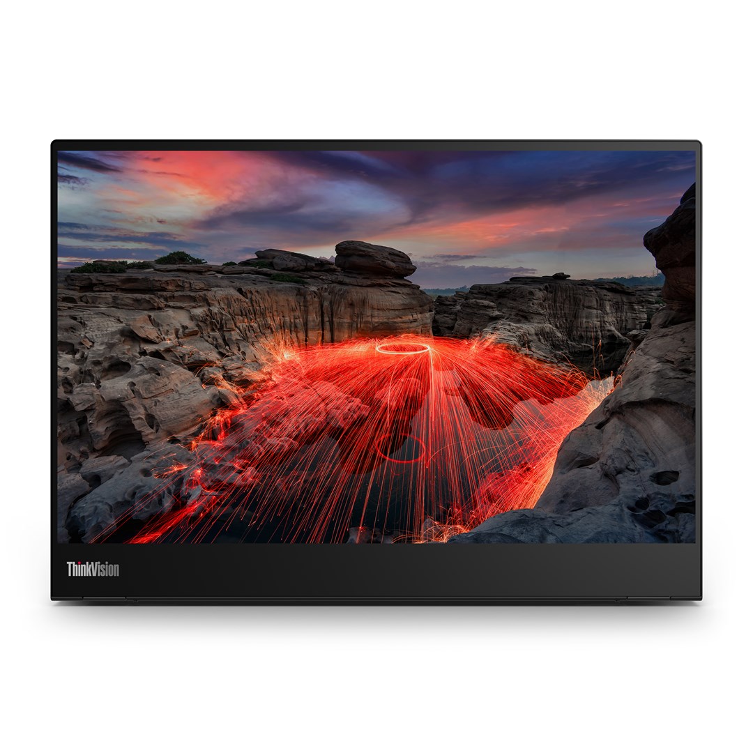 Lenovo  ThinkVision M14t Gen 2 computer